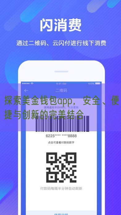 探索美金钱包app，安全、便捷与创新的完美结合