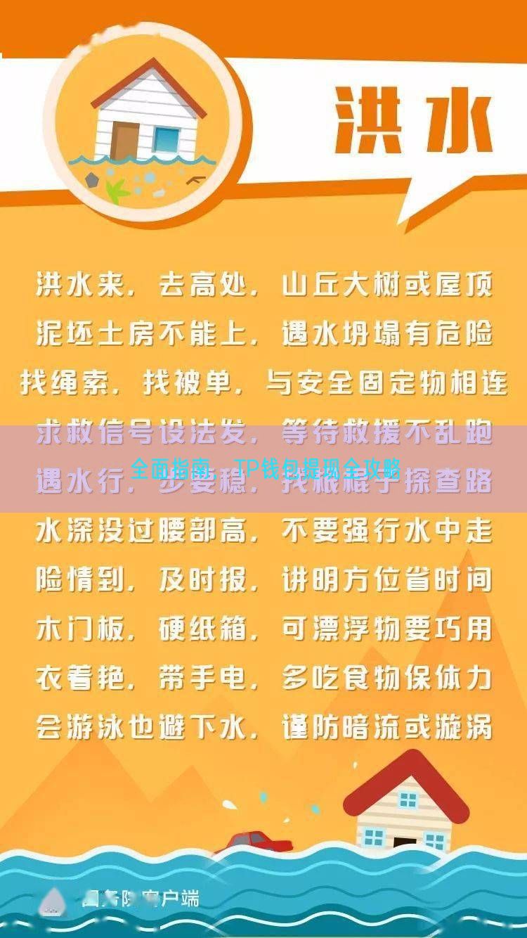 全面指南，TP钱包提现全攻略