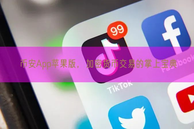 币安App苹果版，加密货币交易的掌上宝典