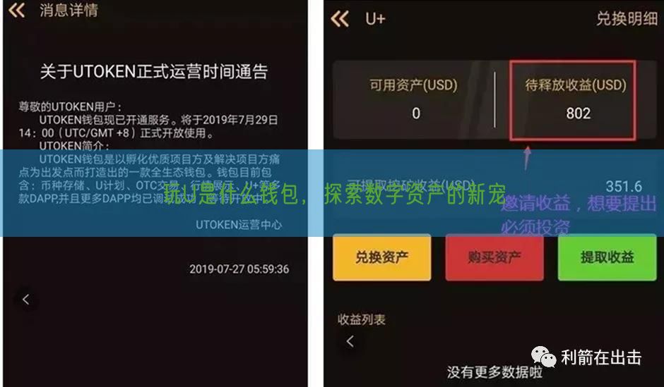 玩U是什么钱包，探索数字资产的新宠