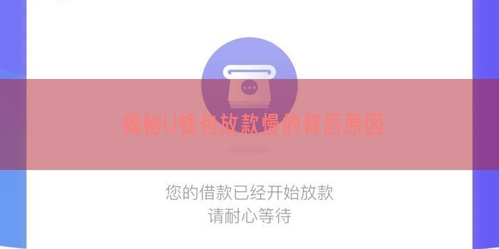 揭秘U钱包放款慢的背后原因