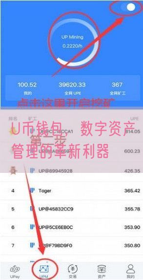 U币钱包，数字资产管理的革新利器