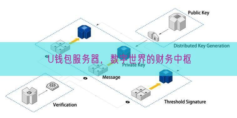 U钱包服务器，数字世界的财务中枢