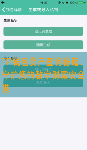 TP钱包资产查询秘籍，守护您的数字财富安全港