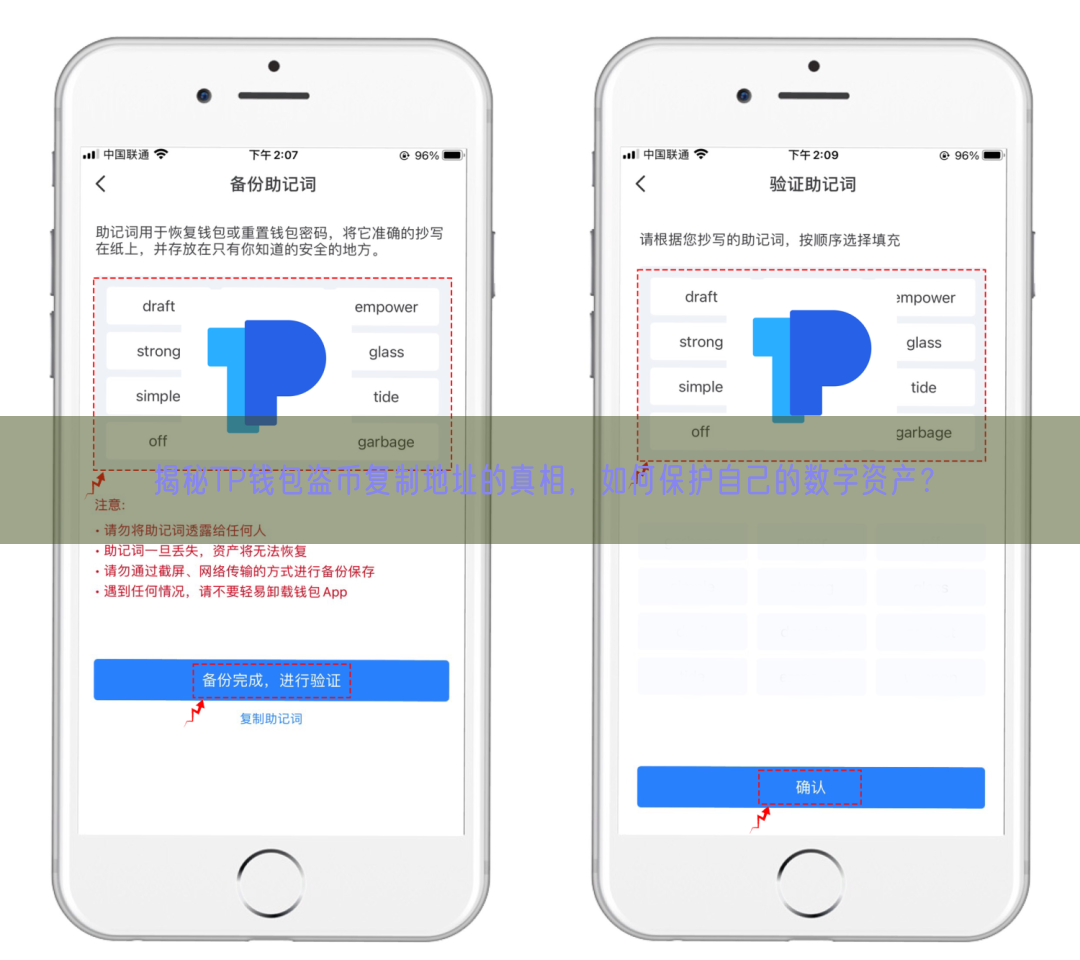 揭秘TP钱包盗币复制地址的真相，如何保护自己的数字资产？