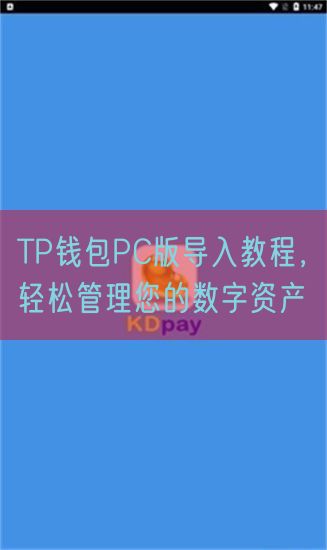 TP钱包PC版导入教程，轻松管理您的数字资产