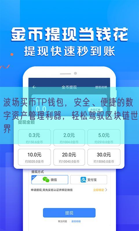 波场买币TP钱包，安全、便捷的数字资产管理利器，轻松驾驭区块链世界