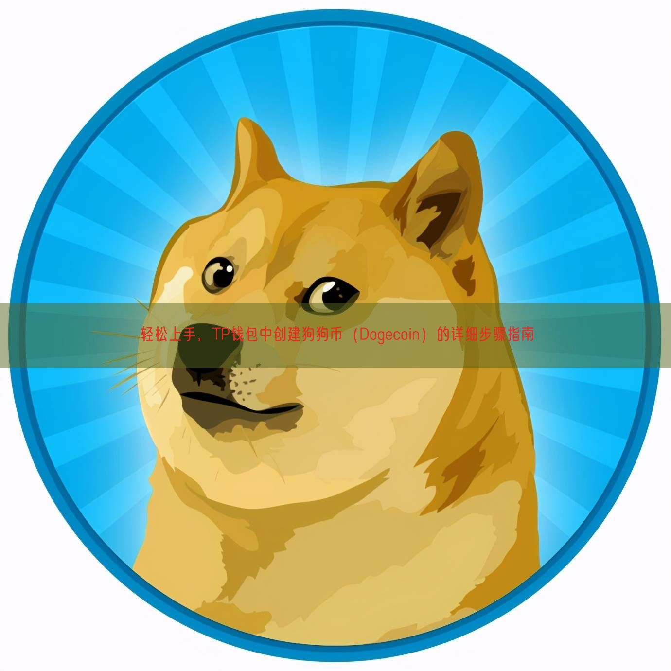 轻松上手，TP钱包中创建狗狗币（Dogecoin）的详细步骤指南