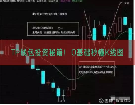 TP钱包投资秘籍！0基础秒懂K线图