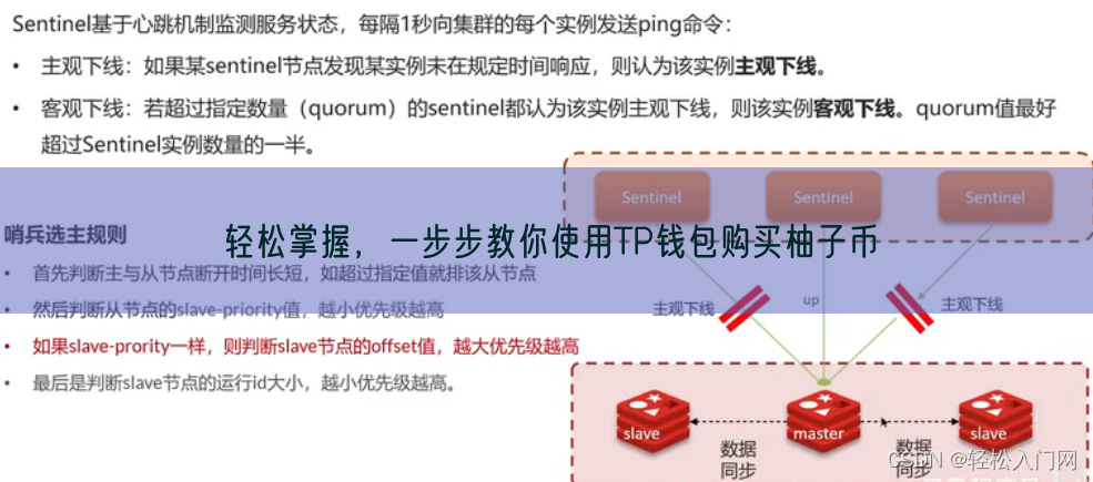 轻松掌握，一步步教你使用TP钱包购买柚子币