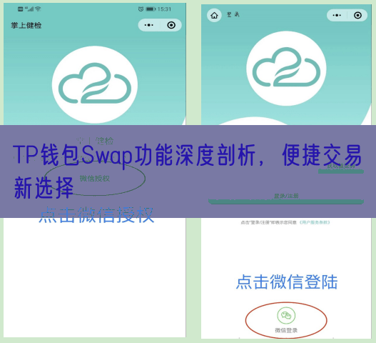 TP钱包Swap功能深度剖析，便捷交易新选择