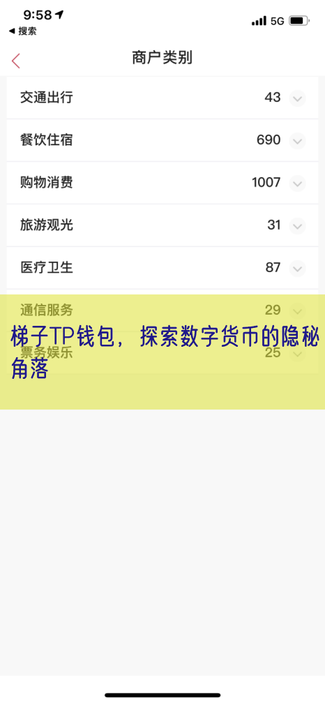梯子TP钱包，探索数字货币的隐秘角落