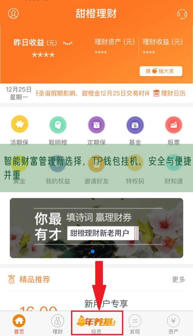 智能财富管理新选择，TP钱包挂机，安全与便捷并重