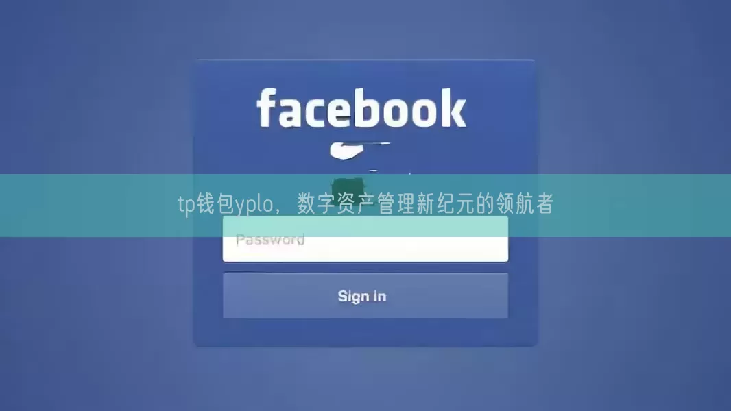 tp钱包yplo，数字资产管理新纪元的领航者