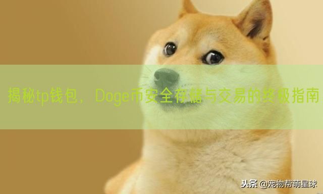 揭秘tp钱包，Doge币安全存储与交易的终极指南