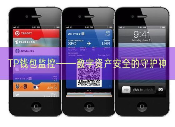 TP钱包监控——数字资产安全的守护神