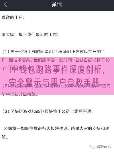 TP钱包跑路事件深度剖析，安全警示与用户自救手册