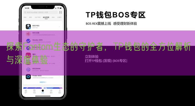 探索Fantom生态的守护者，TP钱包的全方位解析与深度体验