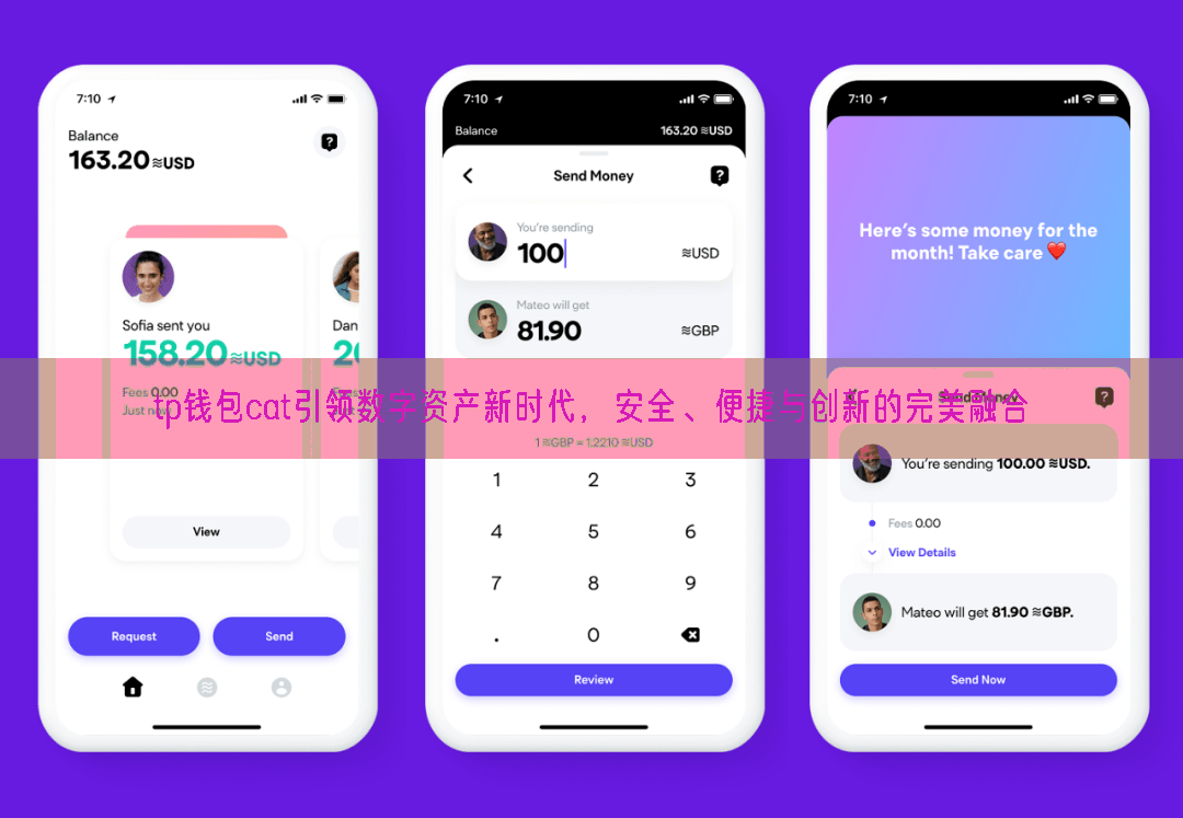 tp钱包cat引领数字资产新时代，安全、便捷与创新的完美融合