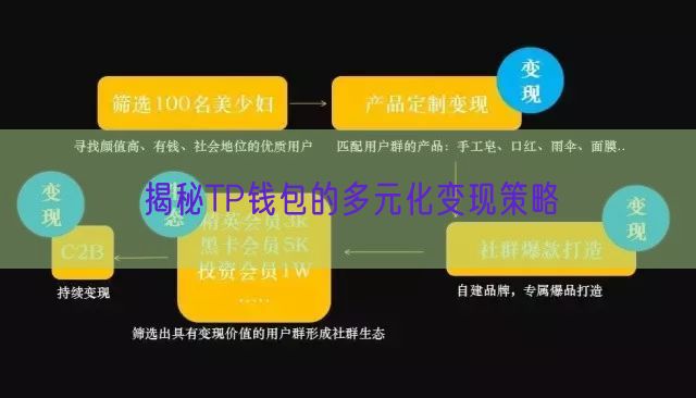 揭秘TP钱包的多元化变现策略