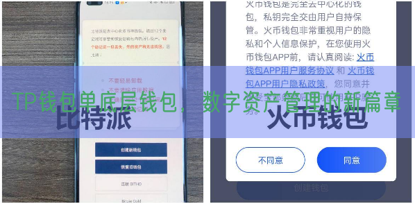 TP钱包单底层钱包，数字资产管理的新篇章