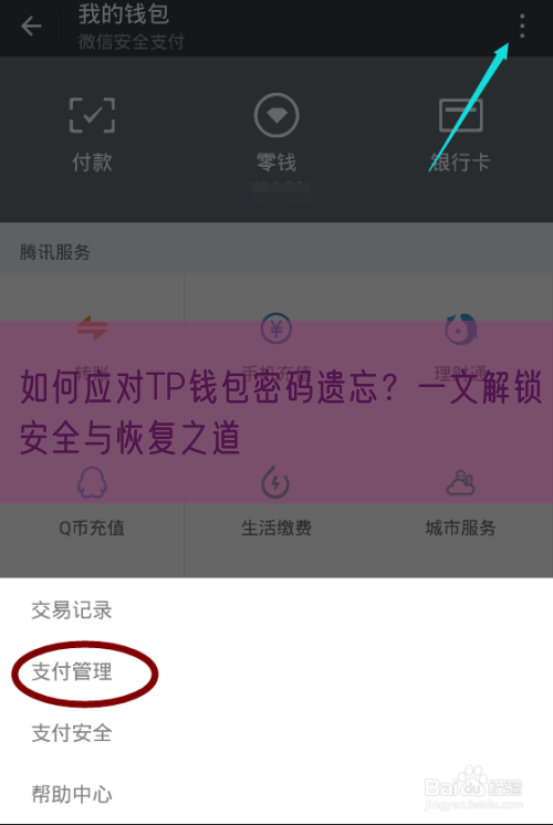 如何应对TP钱包密码遗忘？一文解锁安全与恢复之道