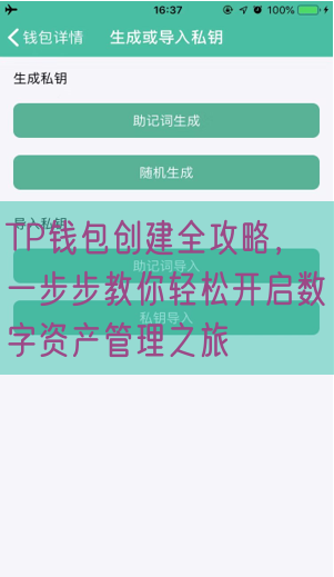 TP钱包创建全攻略，一步步教你轻松开启数字资产管理之旅
