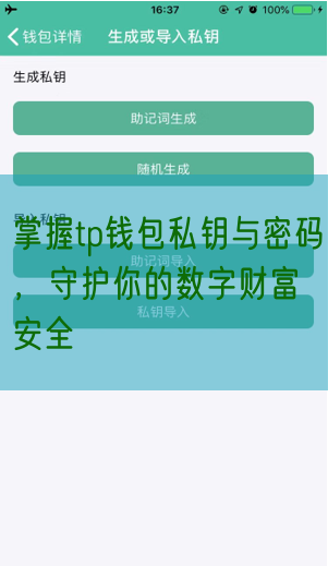 掌握tp钱包私钥与密码，守护你的数字财富安全