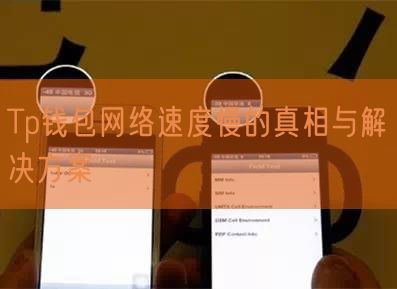 Tp钱包网络速度慢的真相与解决方案