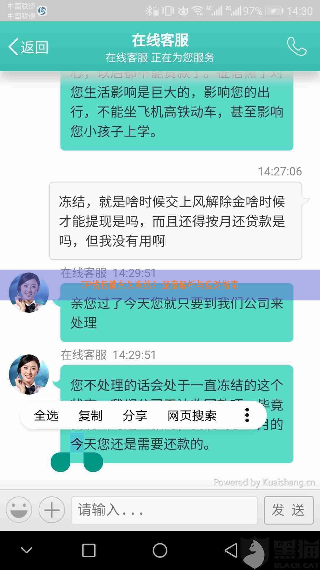 TP钱包遭永久冻结？深度解析与应对指南