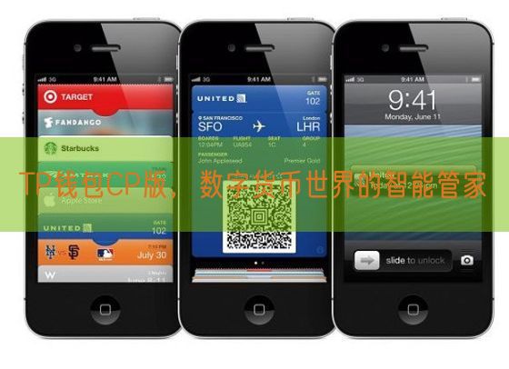TP钱包CP版，数字货币世界的智能管家