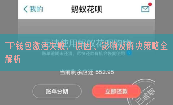 TP钱包激活失败，原因、影响及解决策略全解析