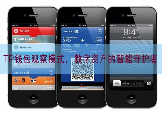 TP钱包观察模式，数字资产的智能守护者