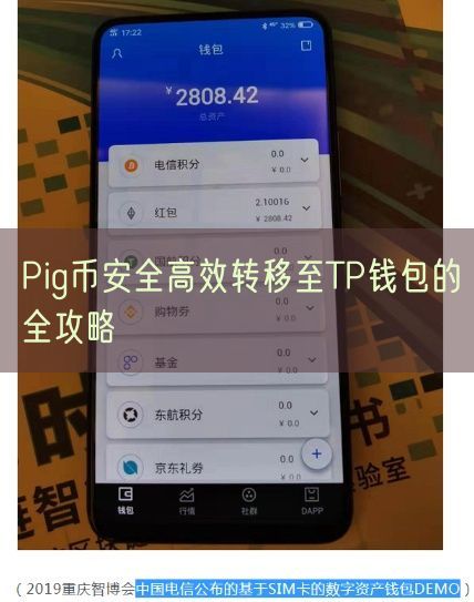 Pig币安全高效转移至TP钱包的全攻略