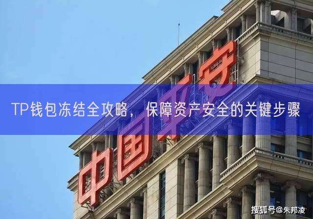 TP钱包冻结全攻略，保障资产安全的关键步骤