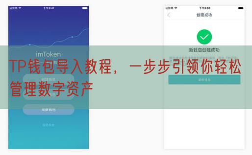 TP钱包导入教程，一步步引领你轻松管理数字资产