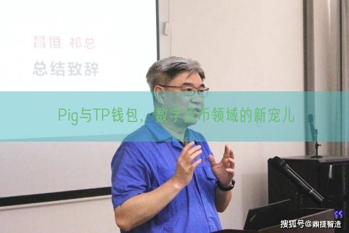 Pig与TP钱包，数字货币领域的新宠儿