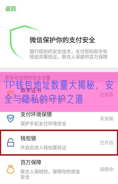 TP钱包地址数量大揭秘，安全与隐私的守护之道