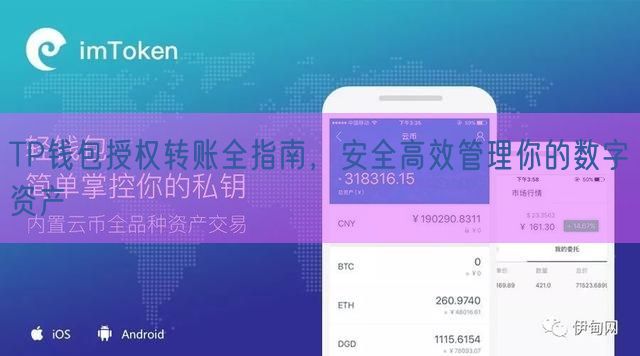 TP钱包授权转账全指南，安全高效管理你的数字资产