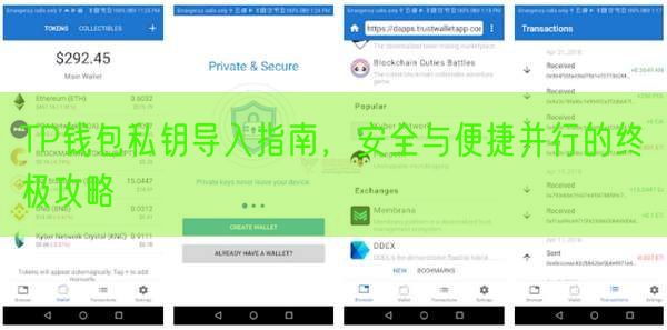 TP钱包私钥导入指南，安全与便捷并行的终极攻略