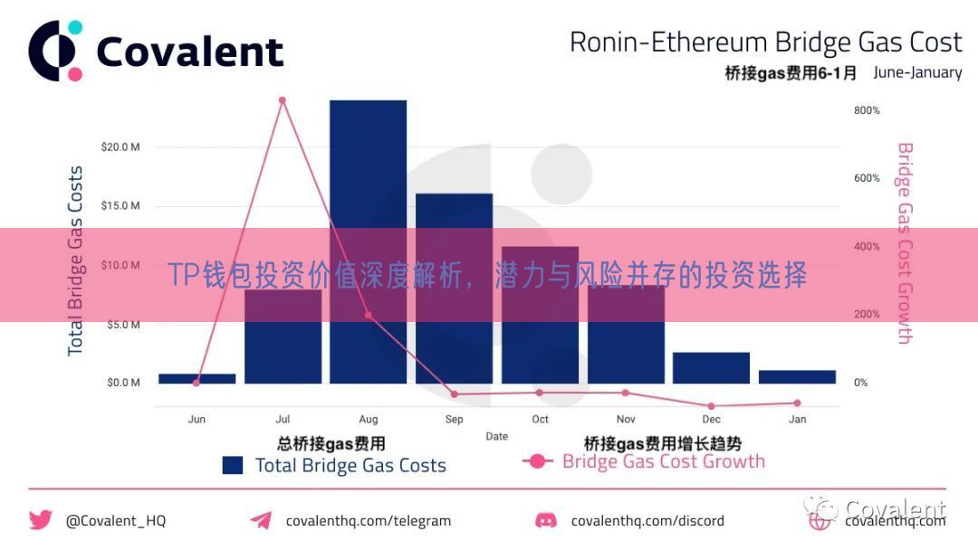 TP钱包投资价值深度解析，潜力与风险并存的投资选择