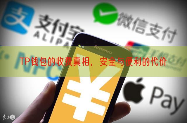 TP钱包的收费真相，安全与便利的代价