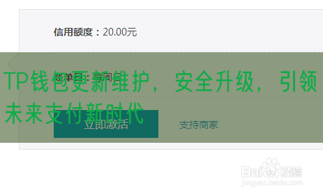 TP钱包更新维护，安全升级，引领未来支付新时代