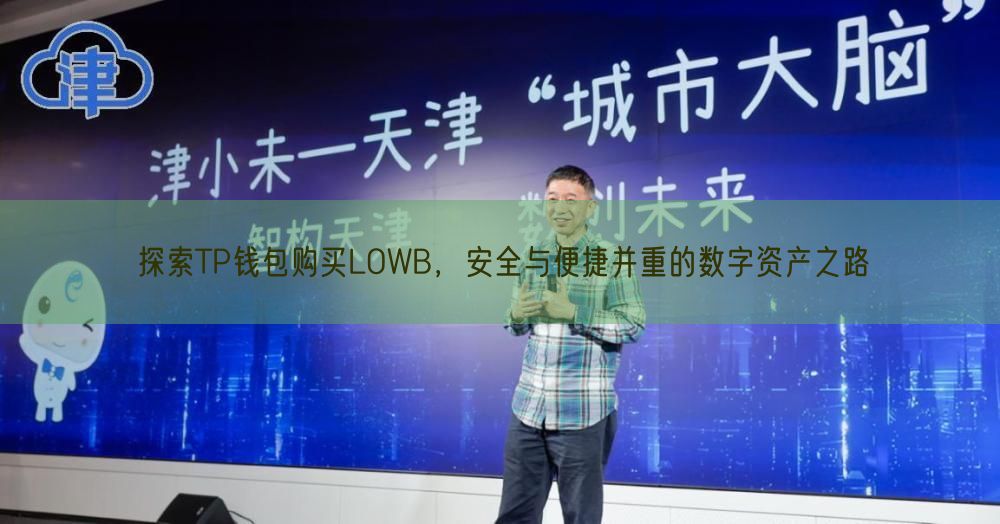 探索TP钱包购买LOWB，安全与便捷并重的数字资产之路