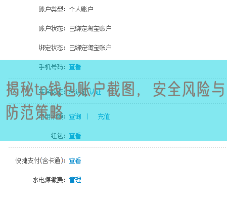 揭秘tp钱包账户截图，安全风险与防范策略