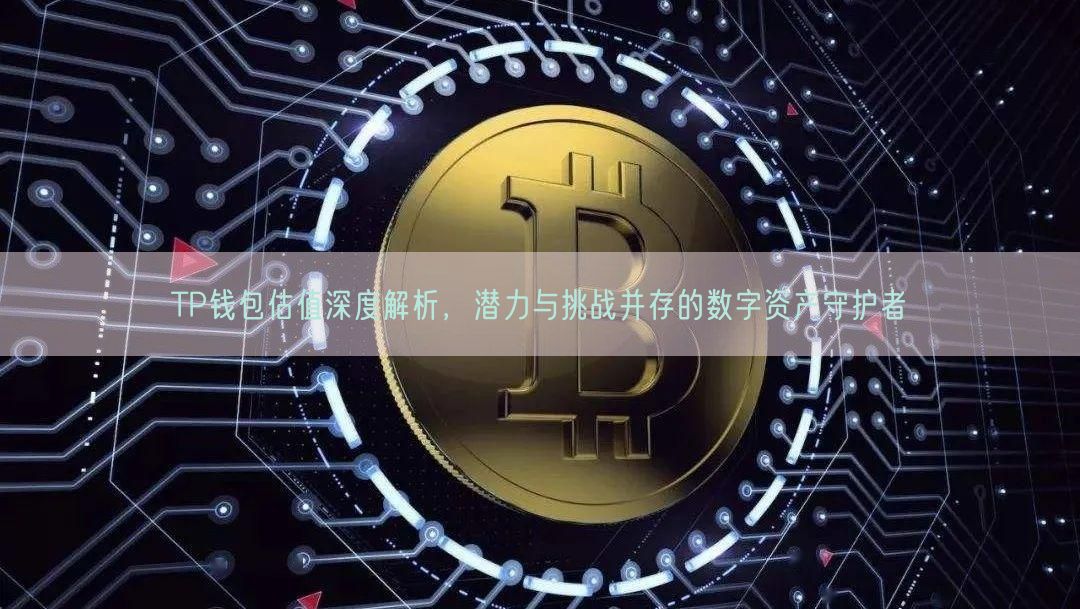 TP钱包估值深度解析，潜力与挑战并存的数字资产守护者