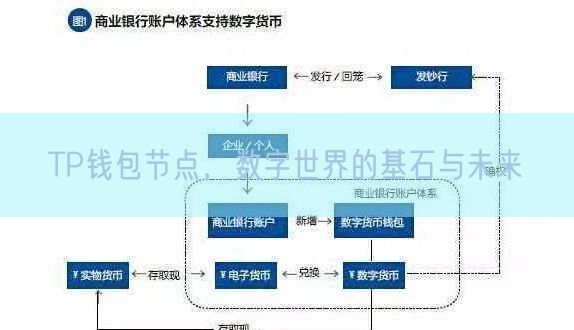 TP钱包节点，数字世界的基石与未来