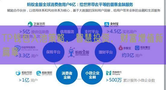 TP钱包入池策略，智慧投资，财富增值新篇章