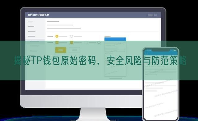 揭秘TP钱包原始密码，安全风险与防范策略