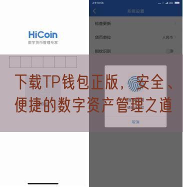 下载TP钱包正版，安全、便捷的数字资产管理之道